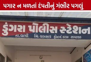 Vapi Couple Suicide Attempt: વાપીમાં પગારની તંગીથી દંપતી આપઘાત કરવા મજબૂર?