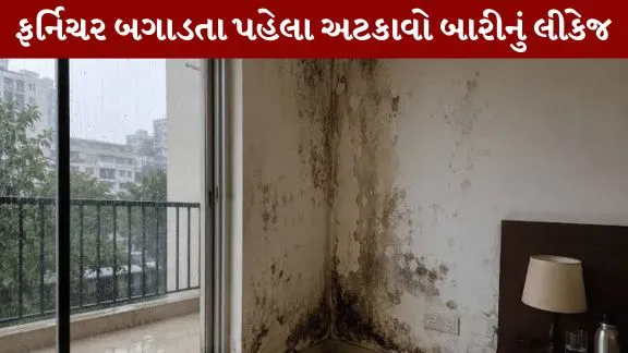 window water leakage Try this remedy