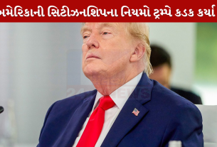 US birthright citizenship