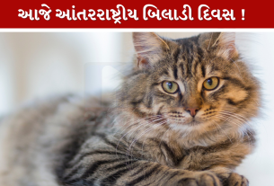 International Cat Day