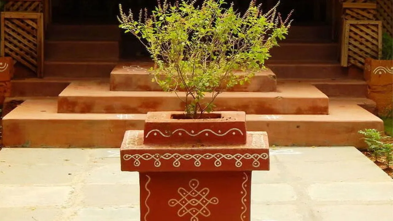 તુલસી