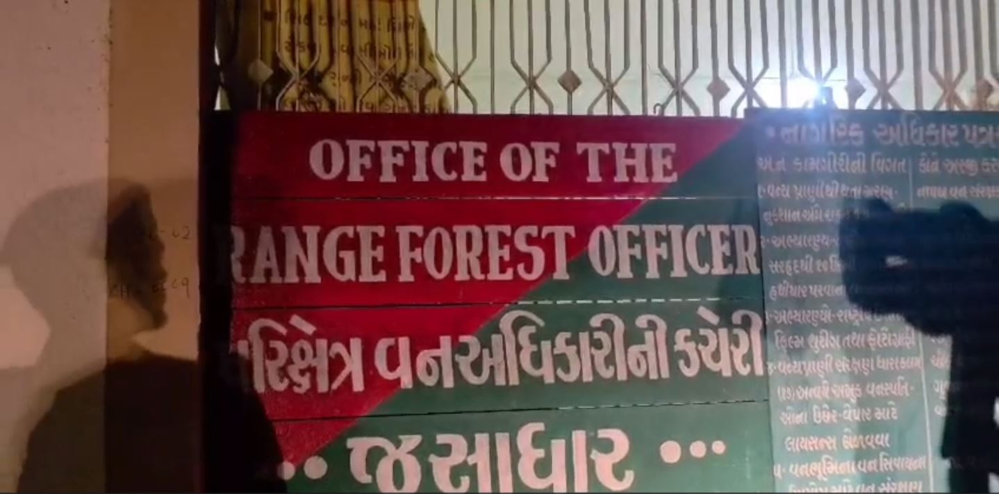 Lion Harassment Case વધુ 2 આરોપી ઝડપાયા, કુલ 10 લોકોની ધરપકડ