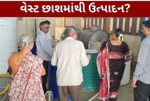 પાટણ નગરપાલિકા અને ફૂડ એન્ડ ડ્રગ્સ કંટ્રોલ એડમિનિસ્ટ્રેશન (FDCA)ની સંયુક્ત ટીમે કરેલી કાર્યવાહી (Food Safety Action)માં અસ્વચ્છ છાશ ( Buttermilk)નો મોટો જથ્થો મળી આવ્યો હતો