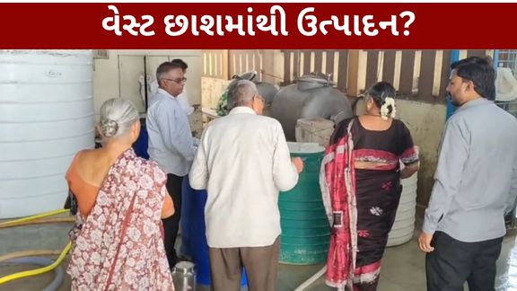 પાટણ નગરપાલિકા અને ફૂડ એન્ડ ડ્રગ્સ કંટ્રોલ એડમિનિસ્ટ્રેશન (FDCA)ની સંયુક્ત ટીમે કરેલી કાર્યવાહી (Food Safety Action)માં અસ્વચ્છ છાશ ( Buttermilk)નો મોટો જથ્થો મળી આવ્યો હતો