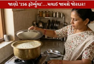Malai Making માટે 156 ફૉર્મ્યુલા...જાડી મલાઈની તર જામશે!