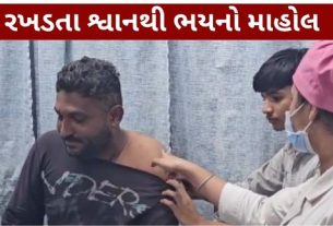 ગીર સોમનાથના ઉના શહેરમાં રખડતા શ્વાનનો આતંક (Stray Dogs) સામે આવ્યો છે
