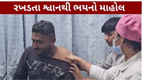 ગીર સોમનાથના ઉના શહેરમાં રખડતા શ્વાનનો આતંક (Stray Dogs) સામે આવ્યો છે