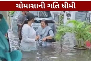ઉત્તર-પશ્ચિમ અને મધ્ય ભારતના વિસ્તારોમાં આ અસર વધુ સ્પષ્ટ છે. આ સ્થિતિને કારણે હવામાન (Weather) નિષ્ણાતો ચોમાસાની ગતિ ધીમી પડવાના સંકેત તરીકે જોઈ રહ્યા છે