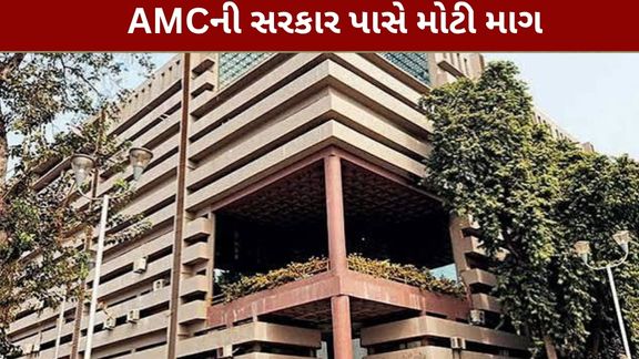 AMC