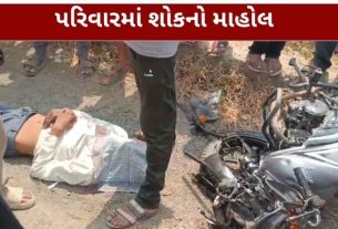 નર્મદા જિલ્લામાં નલિયા ગામ નજીક ગંભીર અકસ્માત  (Accident) સર્જાયો છે