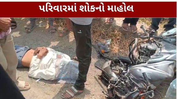 નર્મદા જિલ્લામાં નલિયા ગામ નજીક ગંભીર અકસ્માત  (Accident) સર્જાયો છે
