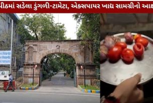 Gujarat Vidyapith