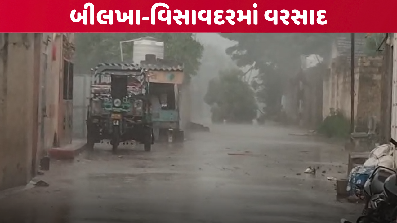બીલખા-વિસાવદરમાં વરસાદનું આગમન, બે-ત્રણ દિવસના વિરામ બાદ ધોધમાર વરસાદથી ખેડૂતોમાં રાહત