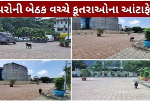 સુરતમાં રખડતા કૂતરા (Stray Dogs)નો મુદ્દો ફરી ચર્ચામાં આવ્યો છે.