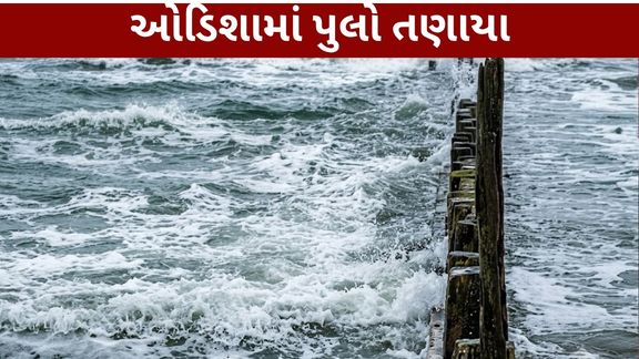 બંગાળની ખાડીમાં સર્જાયેલું અર્નબ ચક્રવાત (Cyclone Arnab) ઉત્તર આંધ્ર પ્રદેશ અને દક્ષિણ ઓડિશાના દરિયાકાંઠા તરફ આગળ વધ્યા બાદ તેની અસર બંને રાજ્યોમાં જોવા મળી રહી છે