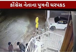 મહેસાણામાં પકવાન ડાઇનિંગ હોલની બહાર થયેલા હુમલા અને ફાયરિંગના કેસ (Mehsana Firing)માં પોલીસે મોટી કાર્યવાહી કરી છે
