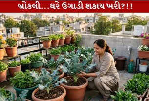 Broccoli Growing Tips...ફૉલો કરીને ઘરે જ બ્રોકલી ઉગાડો..!