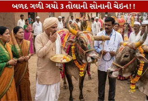 Bull 3 તોલાની Golden ચેઇન ગળી ગયો...માલેગાંવનો Shocking and Worrying Incident!!