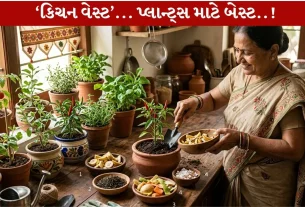 Kitchen Waste ને ફેંકશો નહિં...ખાતર બનાવો...