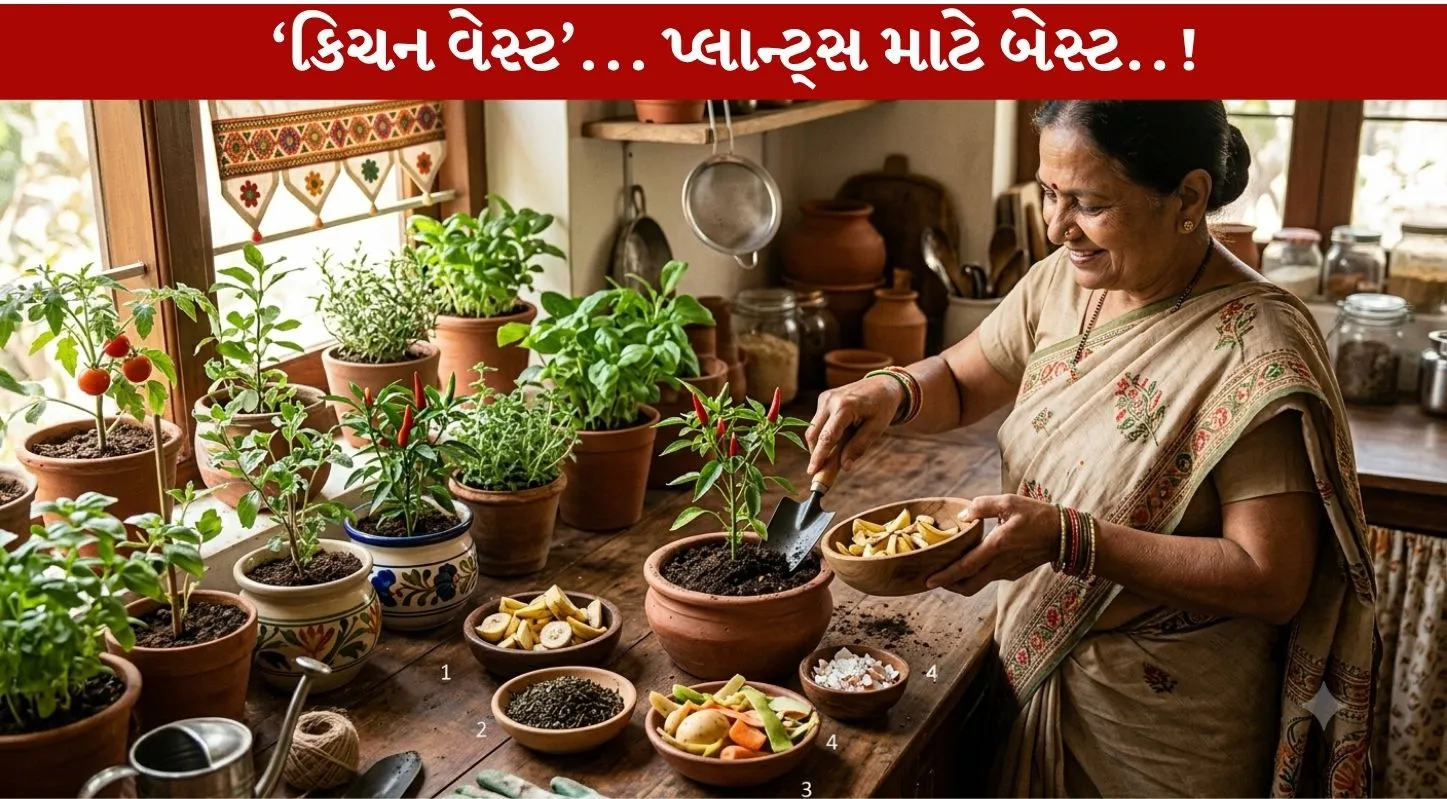 Kitchen Waste ને ફેંકશો નહિં...ખાતર બનાવો...