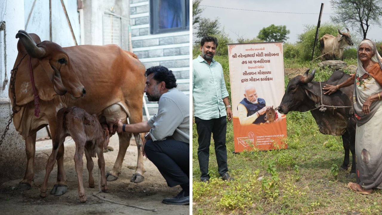 Sitavan Gir Gaushala: 76 મહિલાઓને 76 ગીર ગૌમાતાનું નિઃશુલ્ક ગૌદાન