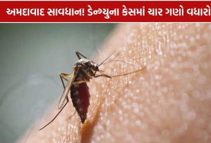 Ahmedabad Dengue Cases: 264 કેસથી આરોગ્ય તંત્ર દોડતું થયું