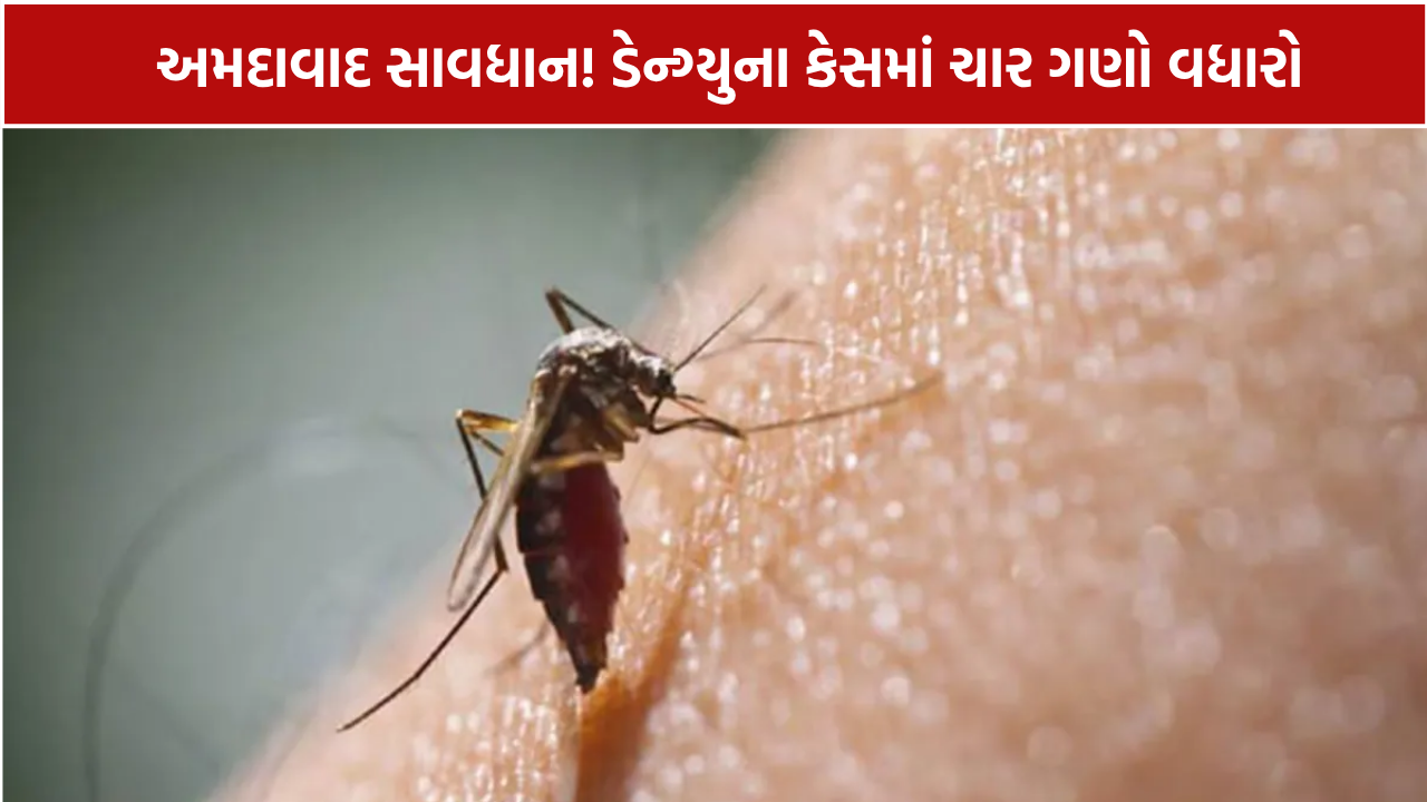 Ahmedabad Dengue Cases: 264 કેસથી આરોગ્ય તંત્ર દોડતું થયું