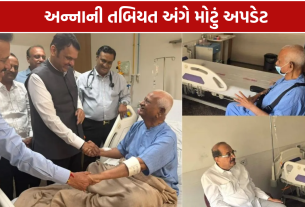 Anna Hazare Health: CM ફડણવીસની મુલાકાતથી થયા ખુશ
