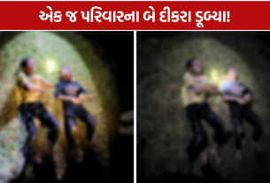 Amreli Pipallag Lake Accident: તળાવમાં ડૂબી 2 સગા ભાઈઓના મોત