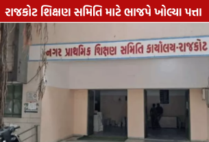 Municipal Primary Education Committee: 11 સભ્યોના નામ જાહેર, ભાજપે છેલ્લી ઘડીએ ખોલ્યું સસ્પેન્સ