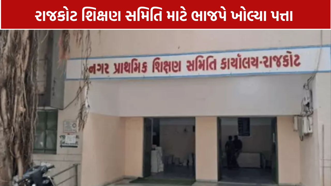 Municipal Primary Education Committee: 11 સભ્યોના નામ જાહેર, ભાજપે છેલ્લી ઘડીએ ખોલ્યું સસ્પેન્સ