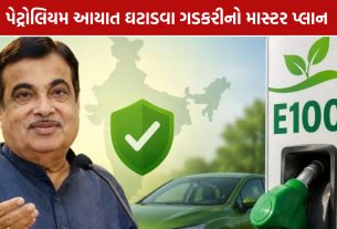 E20 Petrol: ગડકરીએ બતાવ્યો વાહનોના ભવિષ્યનો પ્લાન