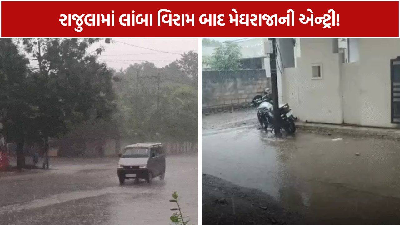 Amreli Rain: રાજુલામાં વરસ્યા મેઘરાજા, આગામી 7 દિવસ માટે આવી મોટી આગાહી