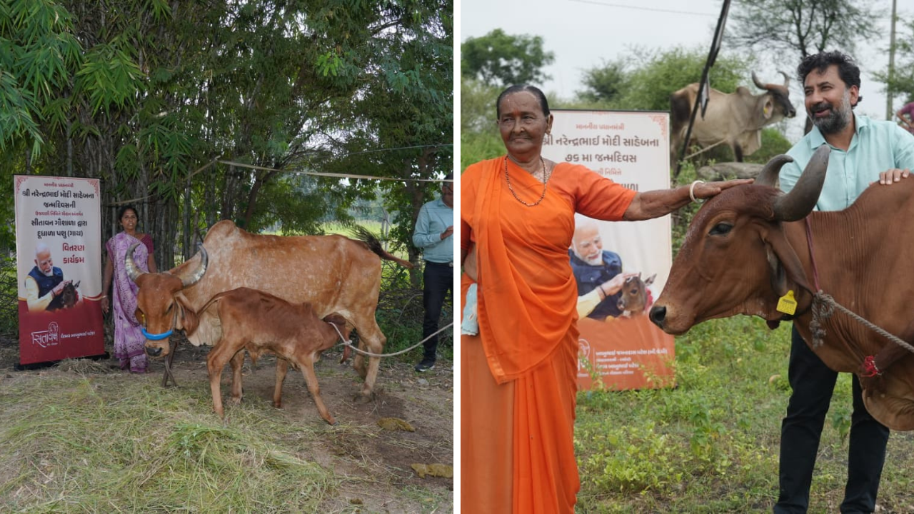 Sitavan Gir Gaushala: 76 મહિલાઓને 76 ગીર ગૌમાતાનું નિઃશુલ્ક ગૌદાન