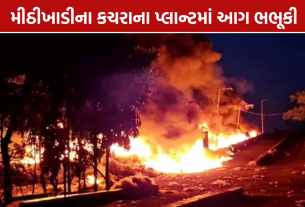 Mithikhadi Fire: મીઠીખાડીના કચરાના પ્લાન્ટમાં ભભૂકી આગ, 5 કિમી દૂરથી દેખાયા ધુમાડાના ગોટેગોટા