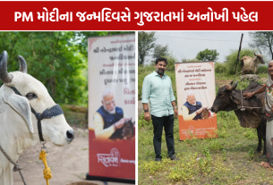 Sitavan Gir Gaushala: 76 મહિલાઓને 76 ગીર ગૌમાતાનું નિઃશુલ્ક ગૌદાન