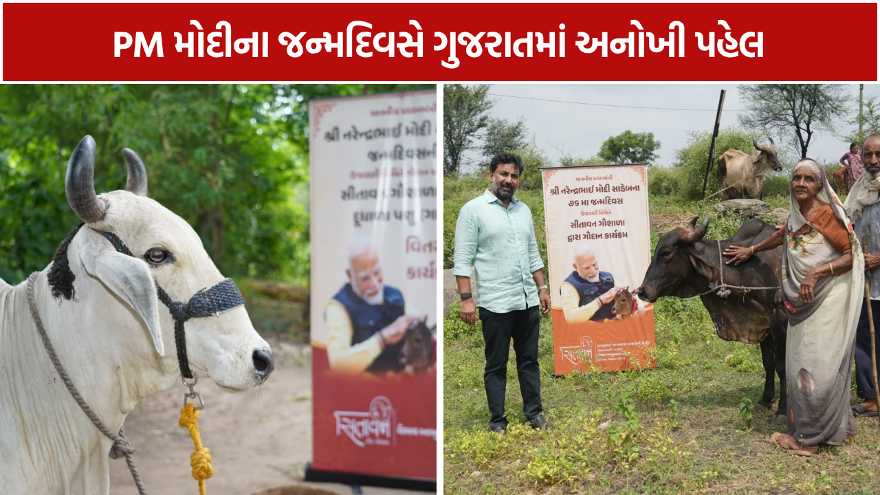 Sitavan Gir Gaushala: 76 મહિલાઓને 76 ગીર ગૌમાતાનું નિઃશુલ્ક ગૌદાન