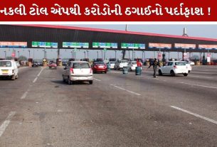 Fake Toll