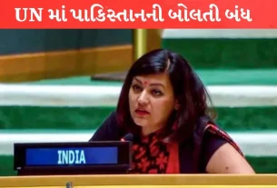 India Pakistan UNGA Clash ભારતનો જડબાતોડ જવાબ