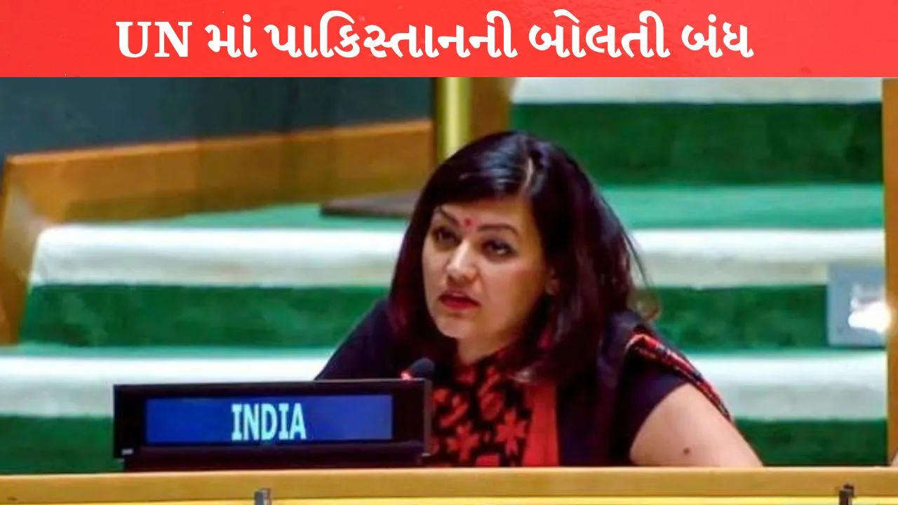 India Pakistan UNGA Clash ભારતનો જડબાતોડ જવાબ