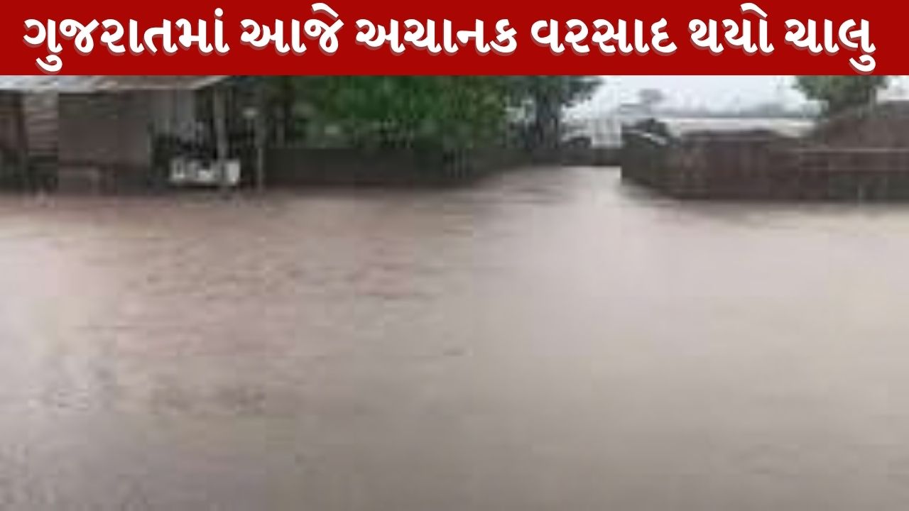 ગુજરાતમાં આજે વરસાદનું જોર, 7 દિવસની આગાહીમાં અનેક જિલ્લાઓમાં યલો એલર્ટ