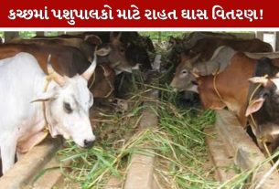 Kutch