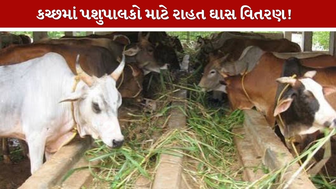 Kutch
