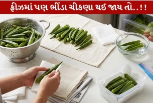 Bhindi Storage કરવાની 5 ઉપયોગી ટિપ્સ જોઈશું...
