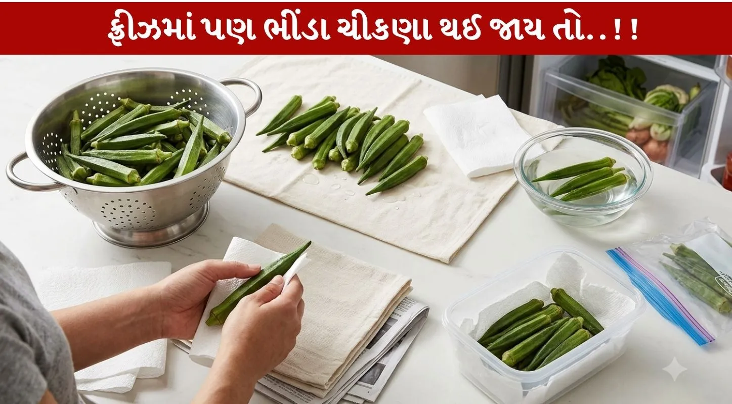 Bhindi Storage કરવાની 5 ઉપયોગી ટિપ્સ જોઈશું...