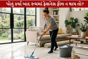 Mopping Tips...ઘરને બનાવો સ્વચ્છ અને સુગંધીદાર..!