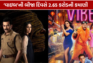 Vibe Box Office Collection: બીજા દિવસે 2.65 કરોડની કમાણી