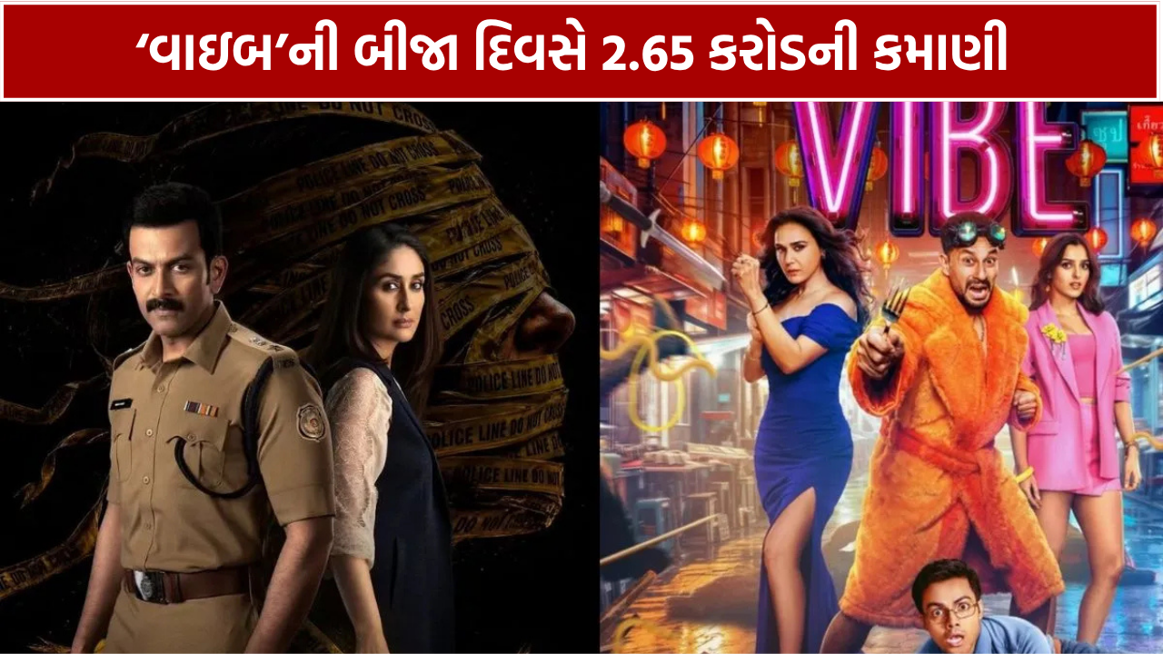 Vibe Box Office Collection: બીજા દિવસે 2.65 કરોડની કમાણી