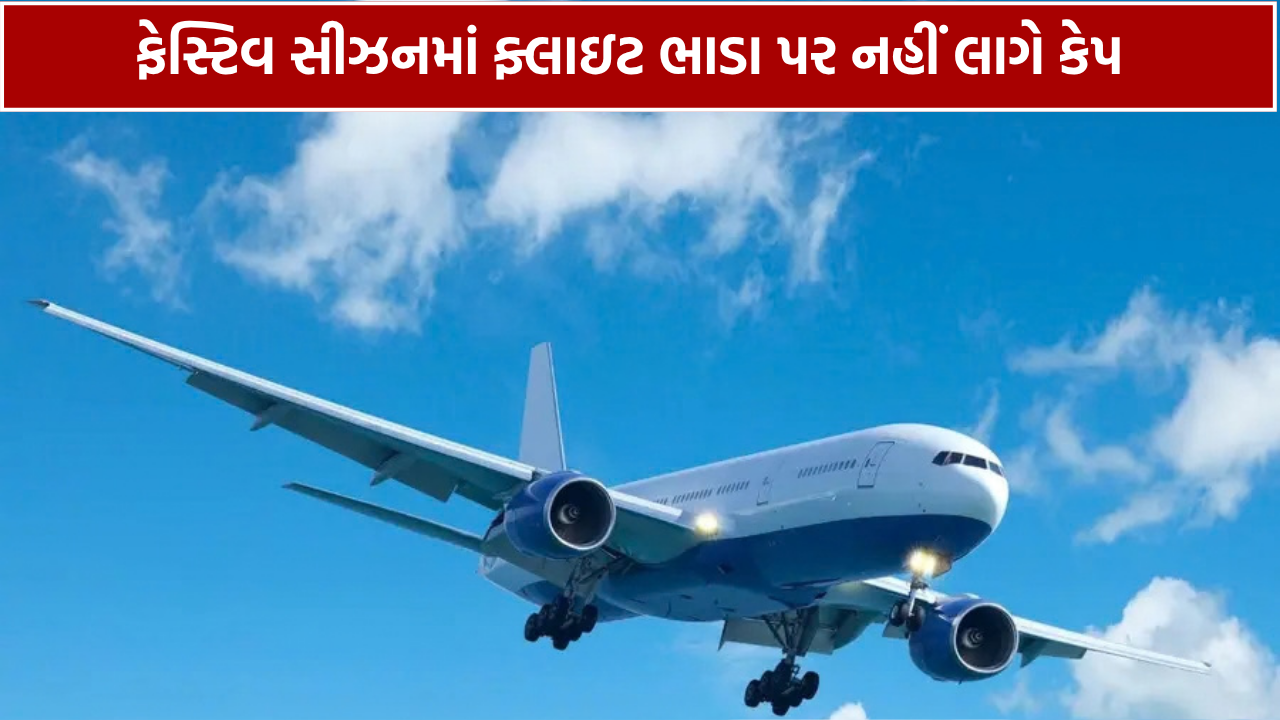 તહેવારોમાં એરફેર પર પ્રાઇસ કેપ નહીં લાગે: સરકાર
