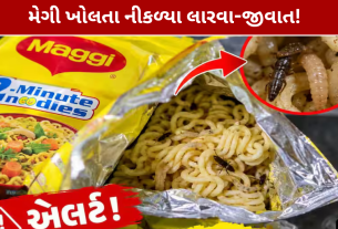 Insects in Maggi Packet: મેગીમાંથી લારવા-જીવાત નીકળ્યાનો દાવો